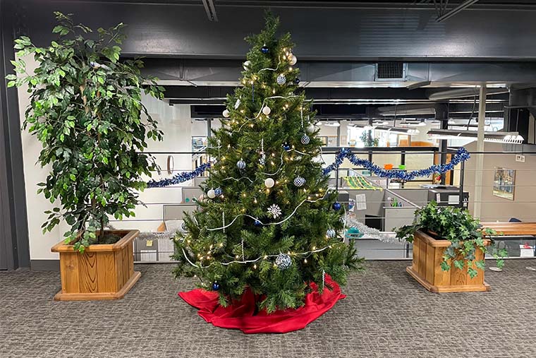 Christmas Tree in Hallway of CA Building