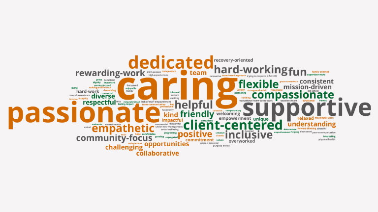 Word cloud visual graphic with top 3 words; caring, donate, and dedicated.